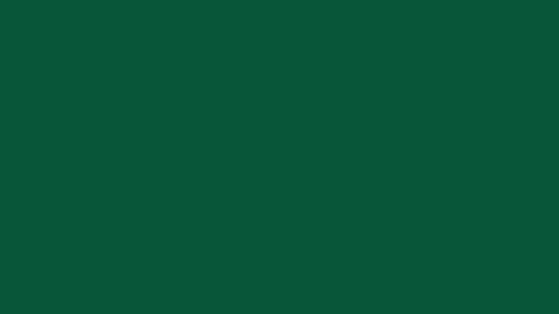DGgreen-235641.png